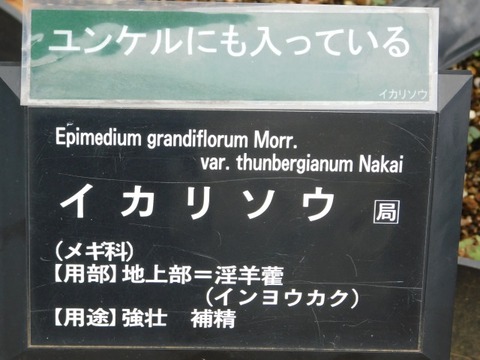 DSCN6255