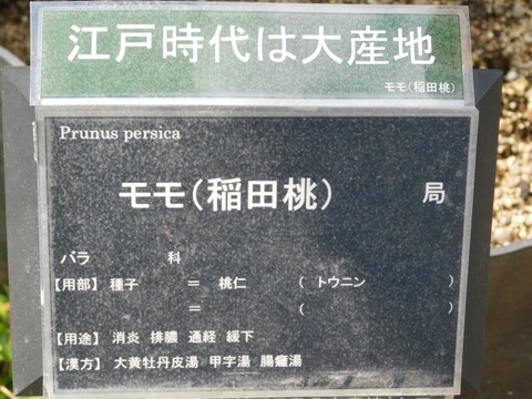 DSCN6344