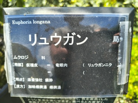 IMG_20260820_114718855_HDR
