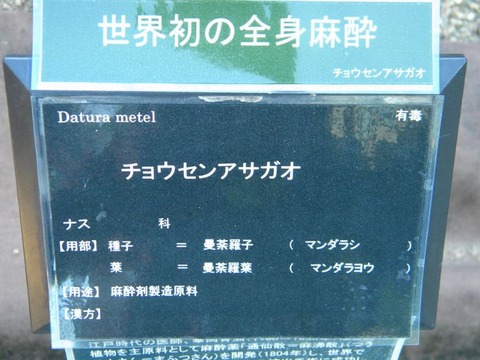 DSCN9862