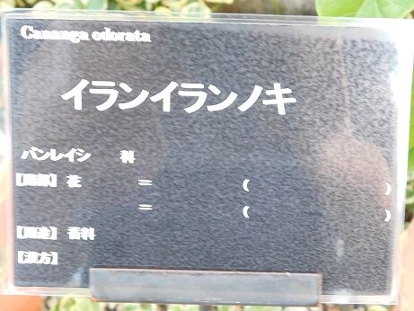 DSCN8694