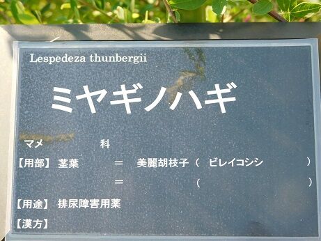 DSCN9862