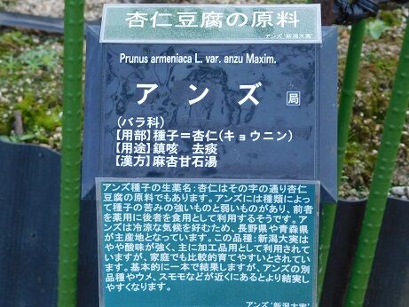 DSCN9041