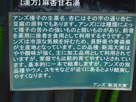 DSCN9727