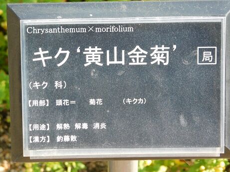 DSCN6580