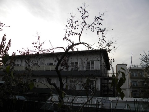 DSCN8441