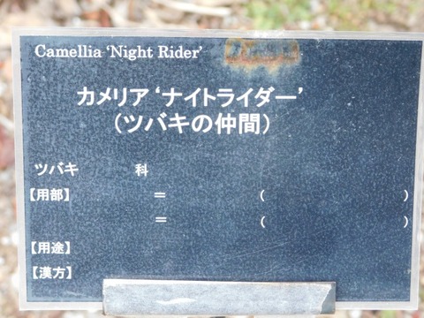 DSCN3609