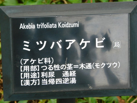 DSCN2836