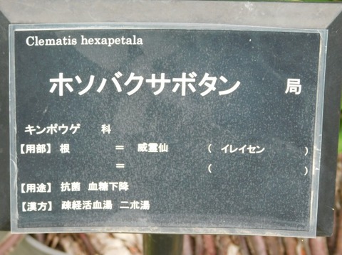 DSCN2339
