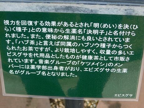 DSCN8316
