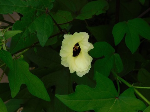 DSCN2308