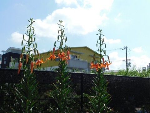 DSCN2189