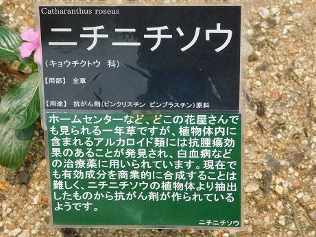 DSCN5402