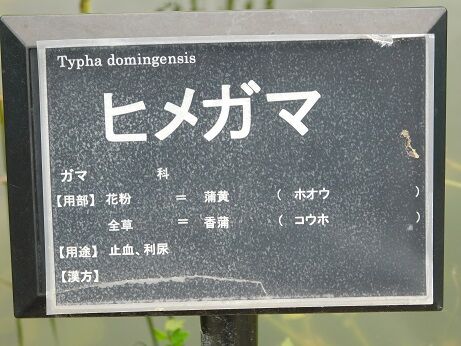 DSCN9883