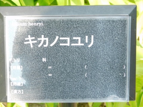 DSCN2200