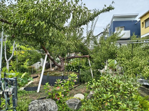 IMG_20260827_132251206_HDR