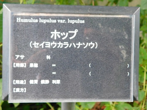 DSCN7470