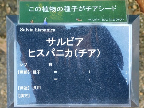 DSCN3093
