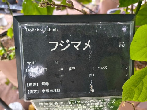 IMG_20260903_084629341_HDR