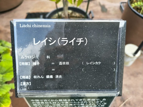 IMG_20260723_113134493_HDR