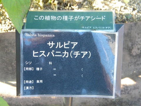 DSCN8421