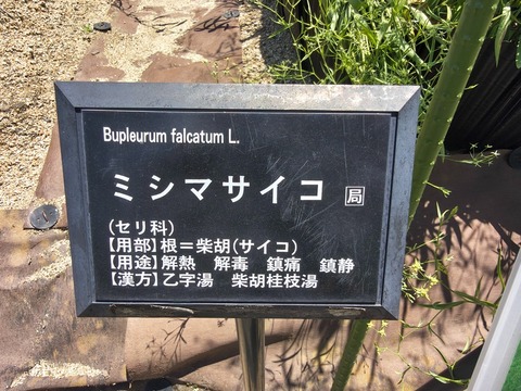IMG_20260728_114440652_HDR