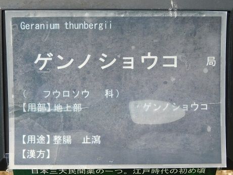 DSCN3851