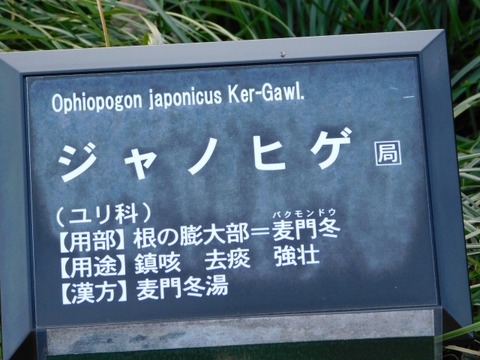 DSCN3418