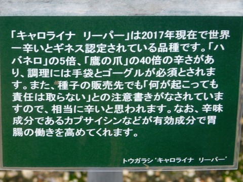 DSCN2676