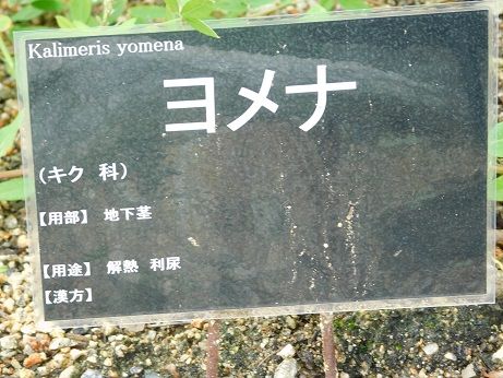 DSCN3758