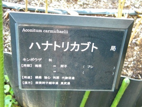 DSCN8386