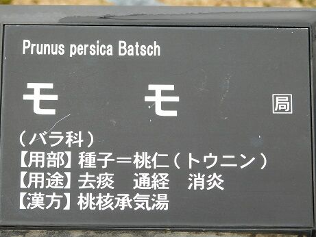 DSCN1458