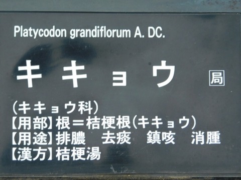 DSCN3801
