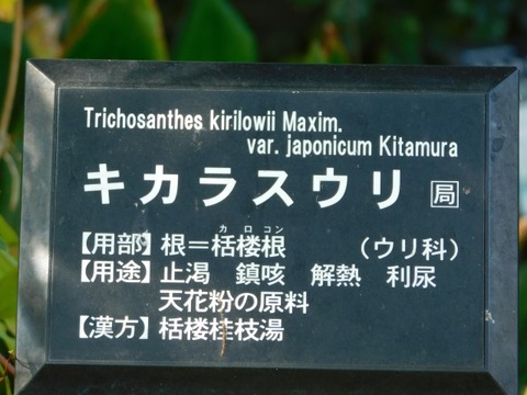 DSCN3129