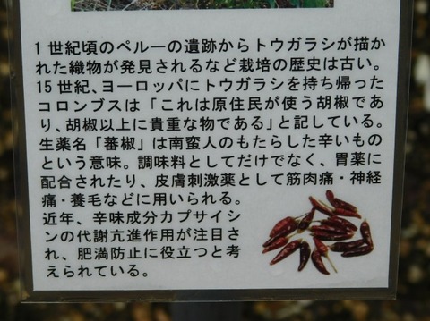 DSCN2621