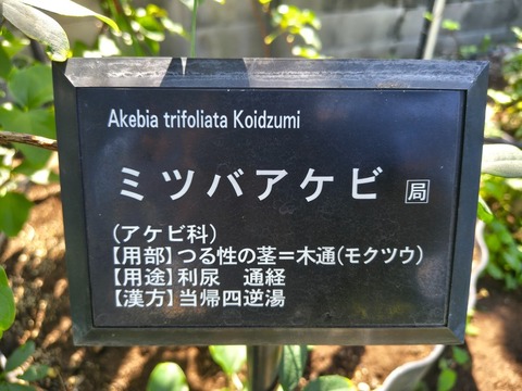 IMG_20261008_134006684_HDR
