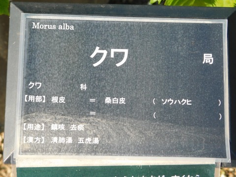 DSCN3959