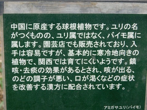 DSCN6222