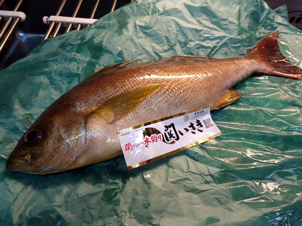 関イサキ 金寿しのおやじブログ