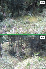 13土橋より大堀切を見る