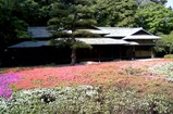 32諏訪の茶屋