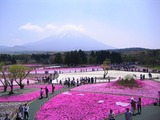 04富士芝桜まつり・展望台より二つの富士山