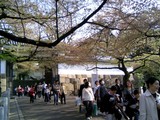 44田安門02