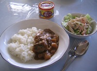 この日の昼食(サバカレー)