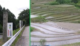 4-04赤阪城跡棚田
