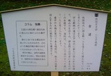八王子城07古道