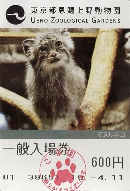 東京都恩賜上野動物園 一般入場券 きっぷうりば 3代目の新駅舎より 東京都恩賜上野動物園 一般入場券 きっぷうりば 3代目の新駅舎より