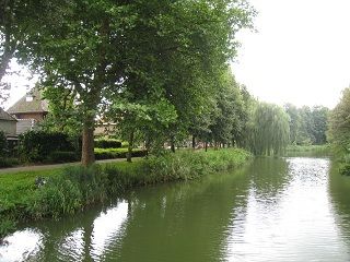 IMG_4517