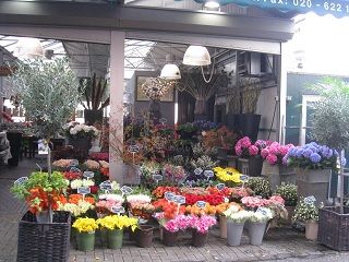 IMG_0071