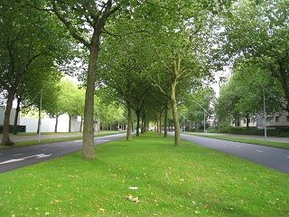 IMG_0017
